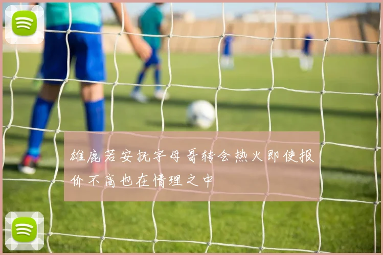 雄鹿若安抚字母哥转会热火即使报价不高也在情理之中